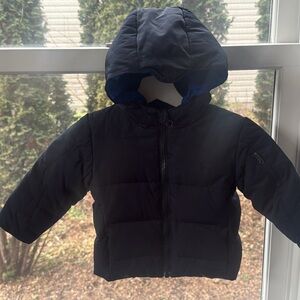 Polo by Ralph Lauren Navy and Royal Blue Kids Puffer Jacket
